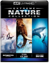 30368 4K UHD 【IMAX自然生态精选/大白鲨/冰河时代的巨人/南极：在边缘】