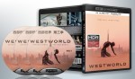 30824 4K UHD 【西部世界 第三季】美剧 3碟 正式版
