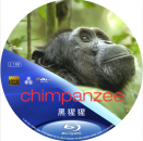 蓝光电影 25G 7433 【黑猩猩的世界】2012